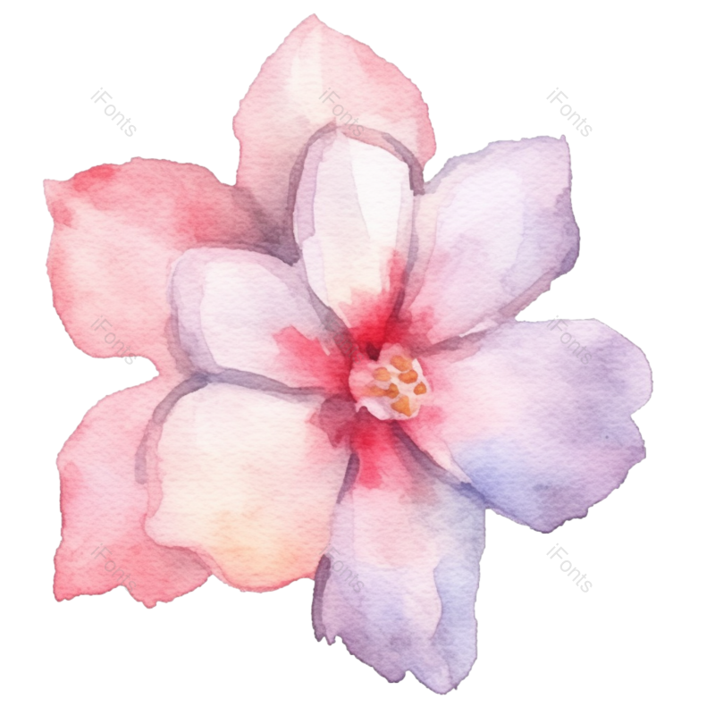粉红色的花图片,白色背景元素,紫色的花PNG,免抠素材